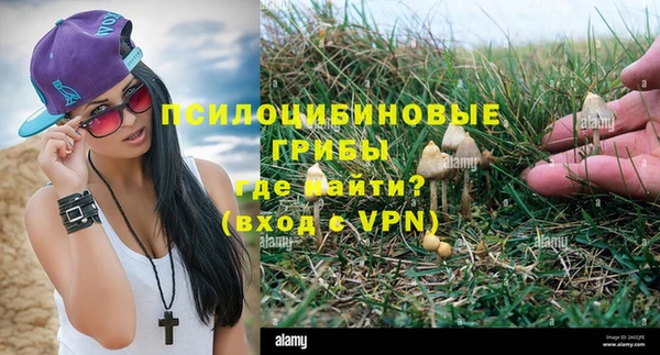 a pvp Пестово