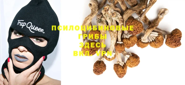 кокс Пересвет