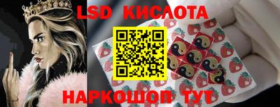стаф Дубна