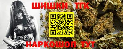 стаф Дубна