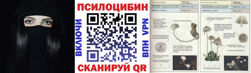 Псилоцибиновые грибы GOLDEN TEACHER Отрадный