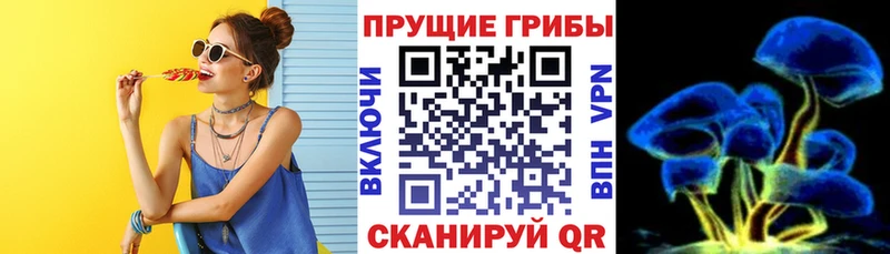 Псилоцибиновые грибы прущие грибы  Отрадный 