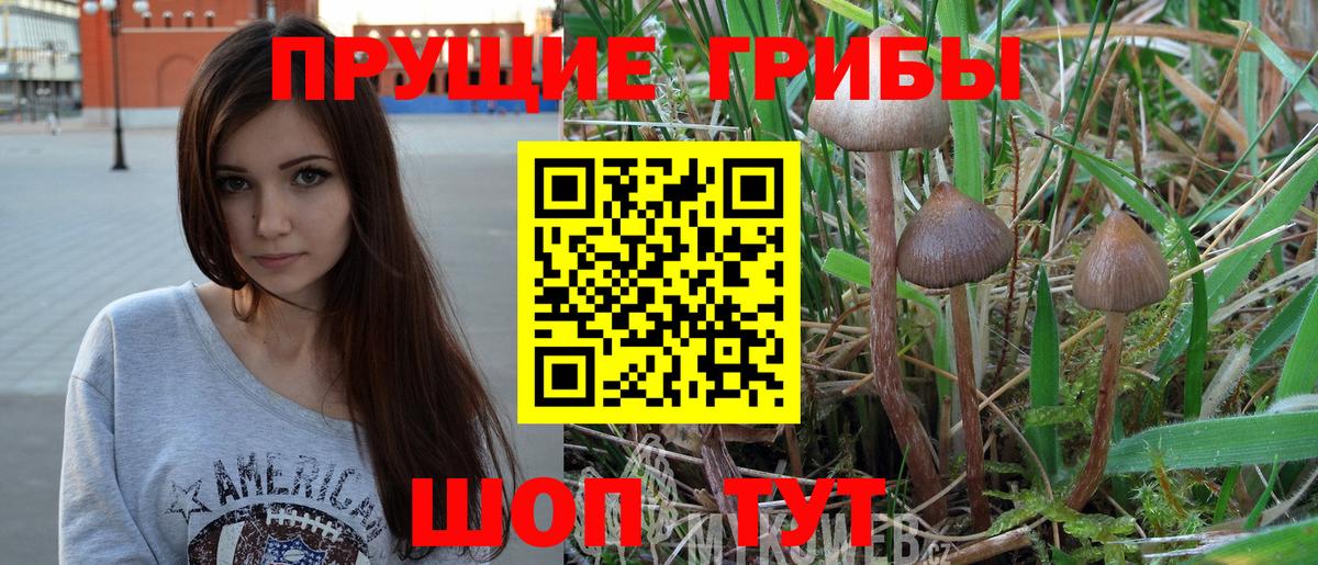 Галлюциногенные грибы Magic Shrooms Отрадный