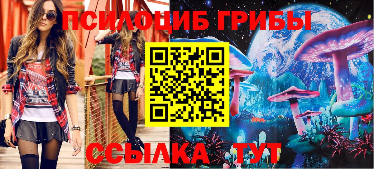 Отрадный  Галлюциногенные грибы мицелий  Вход с VPN  Псилоцибиновые грибы ЛСД 